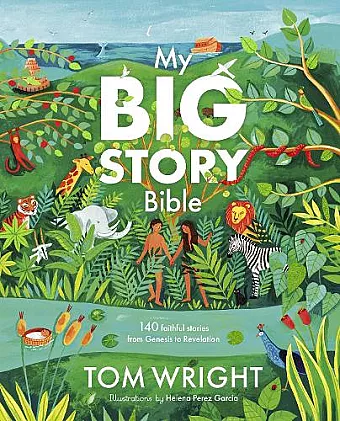 My Big Story Bible cover