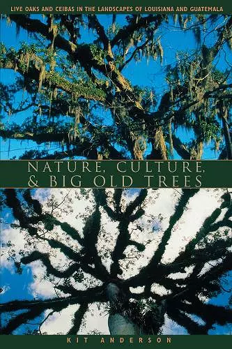 Nature, Culture, and Big Old Trees cover