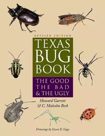 Texas Bug Book cover