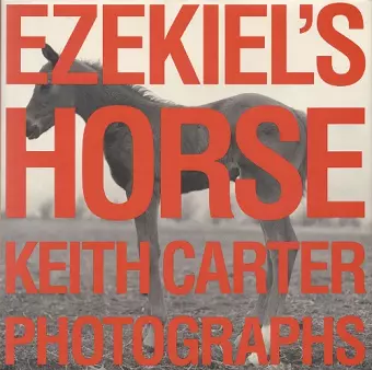 Ezekiel's Horse cover