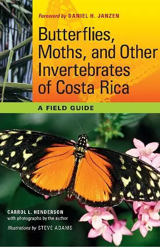 Butterflies, Moths, and Other Invertebrates of Costa Rica cover