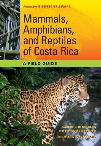 Mammals, Amphibians, and Reptiles of Costa Rica cover