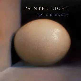 Painted Light cover