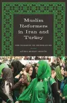 Muslim Reformers in Iran and Turkey cover