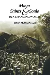 Maya Saints and Souls in a Changing World cover