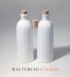 Waltercio Caldas cover