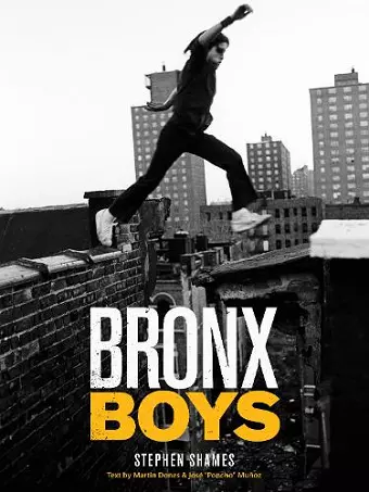 Bronx Boys cover