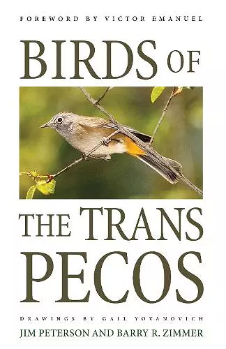 Birds of the Trans-Pecos cover