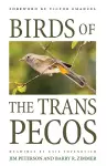 Birds of the Trans-Pecos cover