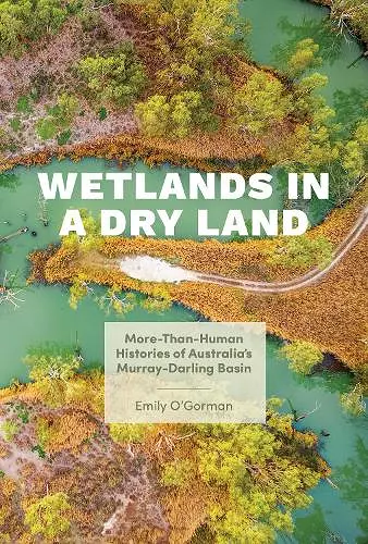 Wetlands in a Dry Land cover