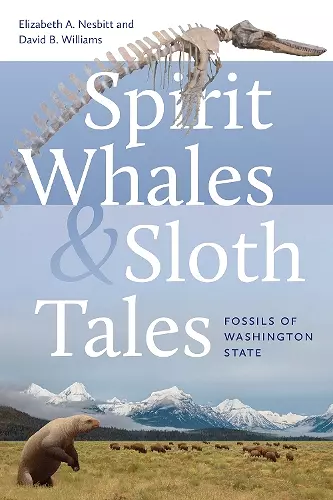 Spirit Whales and Sloth Tales cover