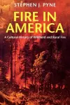 Fire in America cover