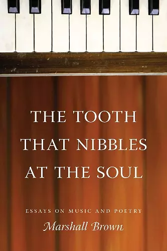 The Tooth That Nibbles at the Soul cover