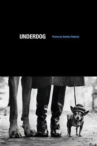 Underdog cover