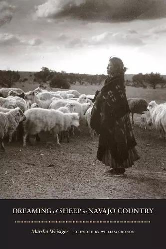 Dreaming of Sheep in Navajo Country cover