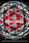 Spectacle cover