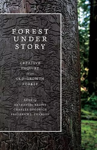 Forest Under Story cover