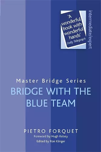 Bridge With The Blue Team cover