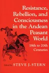 Resistance, Rebellion and Consciousness in the Peasant Andean World, 18th-20th Centuries cover