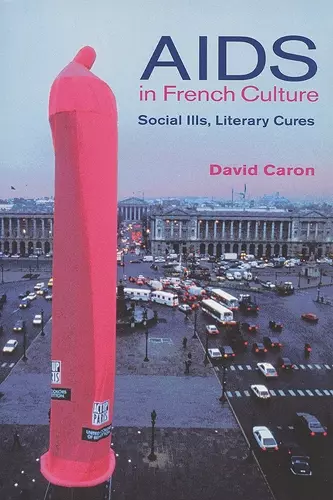 AIDS in French Culture cover