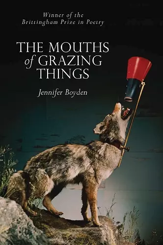 The MOUTHS of GRAZING THINGS cover