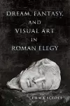 Dream, Fantasy, and Visual Art in Roman Elegy cover