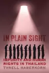 In Plain Sight cover