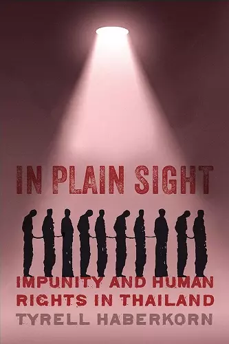 In Plain Sight cover