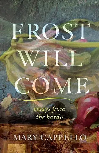 Frost Will Come cover