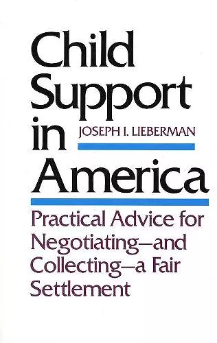 Child Support in America cover