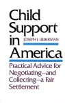 Child Support in America cover