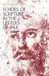 Echoes of Scripture in the Letters of Paul cover