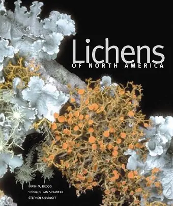 Lichens of North America cover