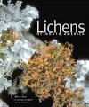 Lichens of North America cover
