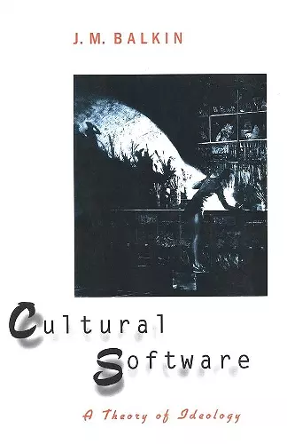 Cultural Software cover