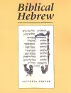 Biblical Hebrew, Second Ed. (Supplement for Advanced Comprehension) cover