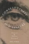 Consciousness and Culture cover