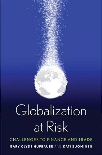 Globalization at Risk cover