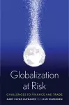 Globalization at Risk cover