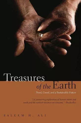 Treasures of the Earth cover