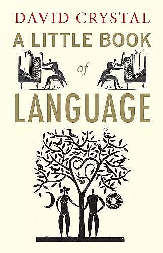 A Little Book of Language cover