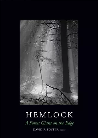 Hemlock cover