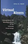 Virtual Rivers cover