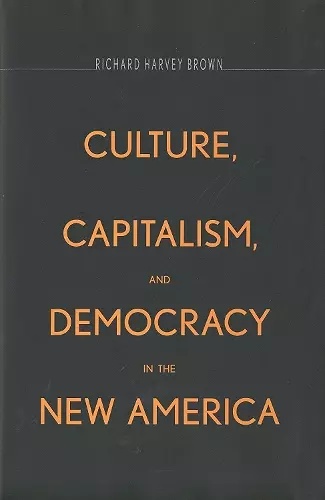 Culture, Capitalism, and Democracy in the New America cover