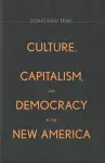 Culture, Capitalism, and Democracy in the New America cover