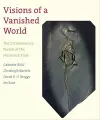 Visions of a Vanished World cover