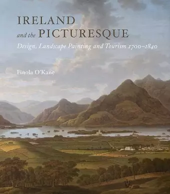 Ireland and the Picturesque cover