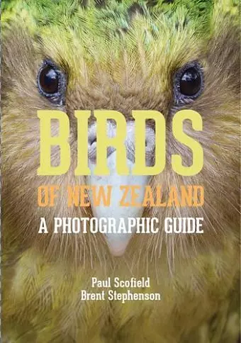 Birds of New Zealand cover