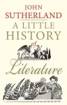 A Little History of Literature packaging