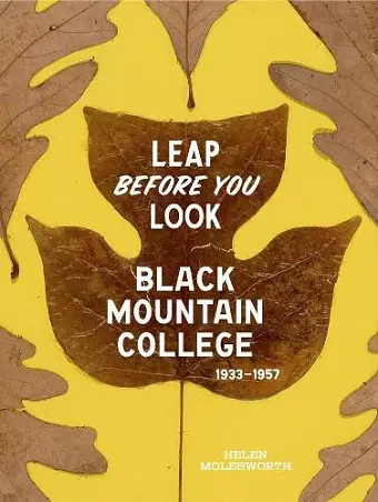 Leap Before You Look cover